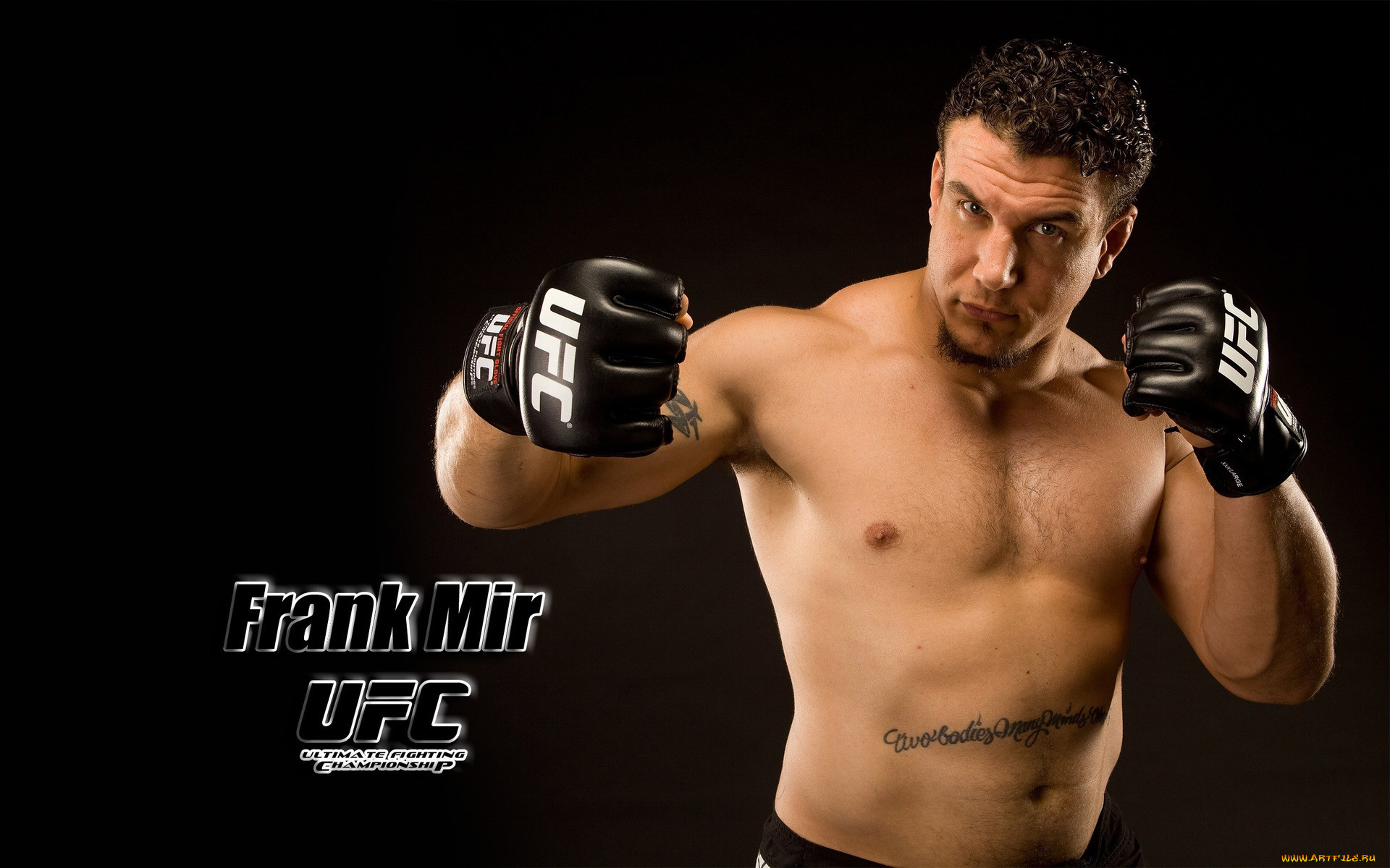 frank, mir, , mix, fight, , , , 